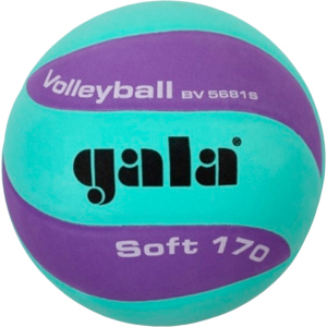 Мяч волейбольный Gala Soft 170 №5 Green-Purple (BV5681SCF) в Полтаве