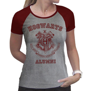 Футболка ABYstyle Harry Potter XL Сіра (ABYTEX503XL) ТОП в Полтаві