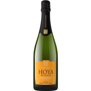 Вино игристое Hoya de Cadenas Cava Brut Nature белое брют 0.75 л 11.5% (8410310605994) лучшая модель в Полтаве