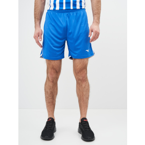 Спортивні шорти Mizuno High-Kyu Short V2EB700122 L (5054698344941) в Полтаві