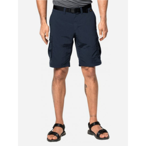 Шорти Jack Wolfskin Canyon Cargo Shorts 1504201-1010 48 (4055001473199) ТОП в Полтаві