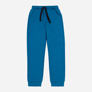 Спортивные штаны Бемби SHR698-R00 110 см Бирюзовые (4823109689695) в Полтаве