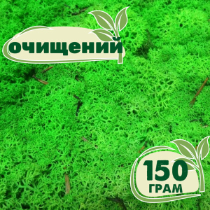 Очищений стабілізований мох ягель Nordic moss Зелений трав'яний світлий 150 грам ТОП в Полтаві