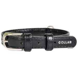 Ошейник для собак кожаный Collar WAUDOG Glamour с QR паспортом, без украшений, S, Ш 20 мм, Дл 30-39 см (32931) ТОП в Полтаве