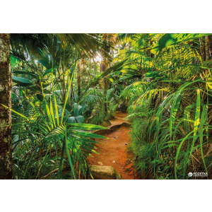 Фотообои бумажные Komar Jungle Trail 368х254 см 8 сегментов (8-989) в Полтаве