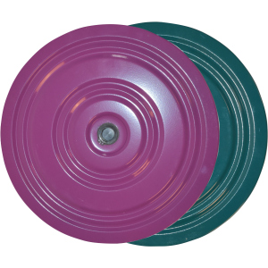 Диск здоровья металлический IVN 28 см Фиолетово-зеленый (CH-3744) в Полтаве