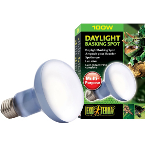 Лампа накаливания с неодимовой колбой Exo Terra «Daylight Basking Spot» для обогрева 100 Вт, E27 (015561221337) рейтинг