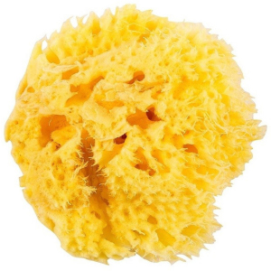 Натуральная морская губка Ok Baby Honeycomb Sea Sponge размер 12 (38471200) в Полтаве