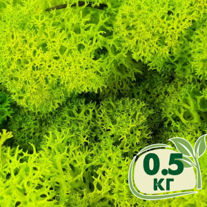 Стабілізований мох ягель Nordic moss Зелений весняний 0,5 кг надійний