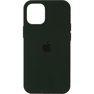 Панель ArmorStandart SilIcone Case для Apple iPhone 12 Pro Max Cyprus Green (ARM57610) краща модель в Полтаві